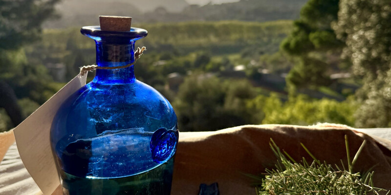 Day 5 — A Taste of Mallorca — Final Morning