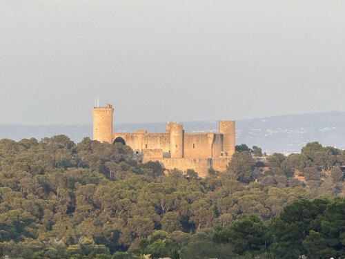 Luxury Travel Castell Bellver Palma