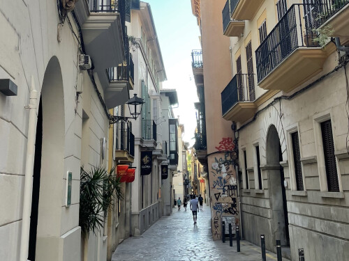 Luxury Travel Palma Street