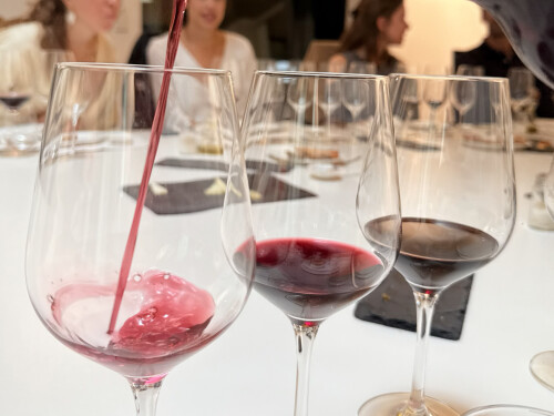 Luxury Travel Timeless Mallorca Winetasting day 6