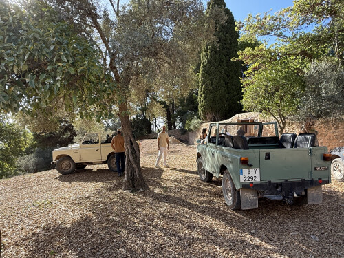 LuxuryTravel Authentic Mallorca Landrover Day5