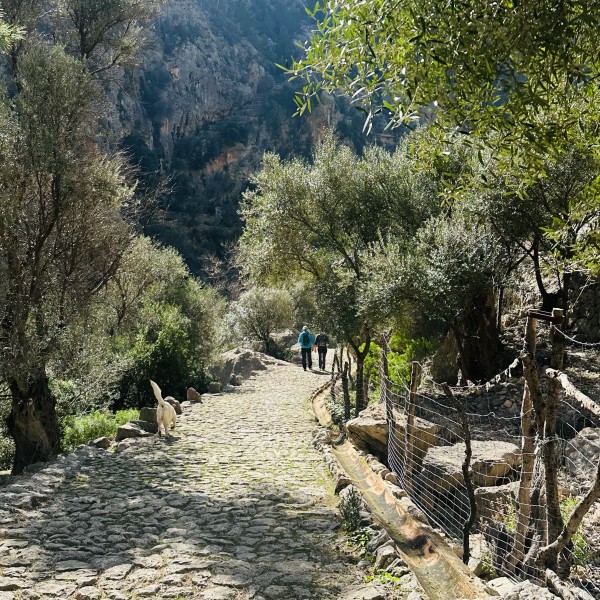 Activity PrivateHike