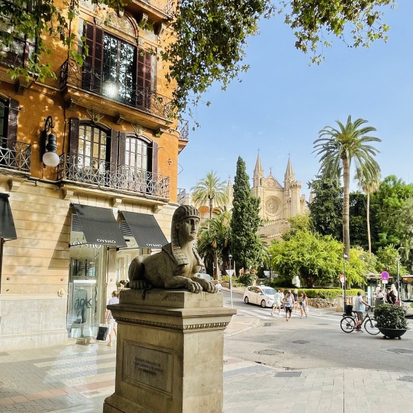 GuidedPalmaTour Borne