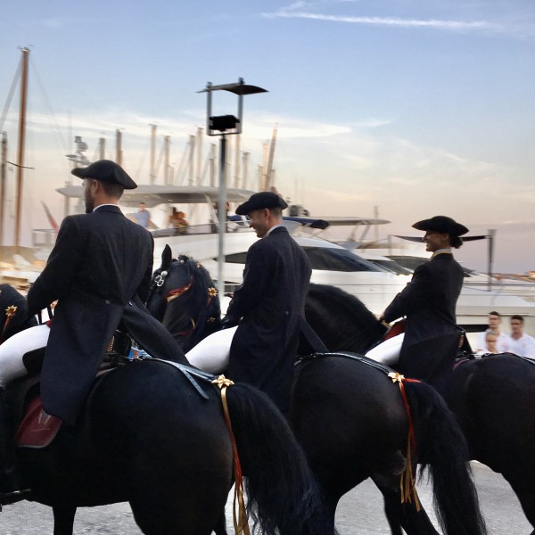 Menorca MenorquinHorses