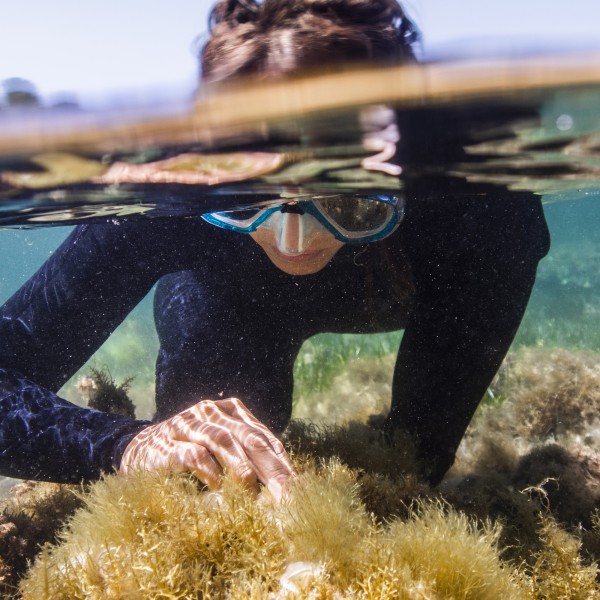 SlowTravel MedExpedition Snorkel