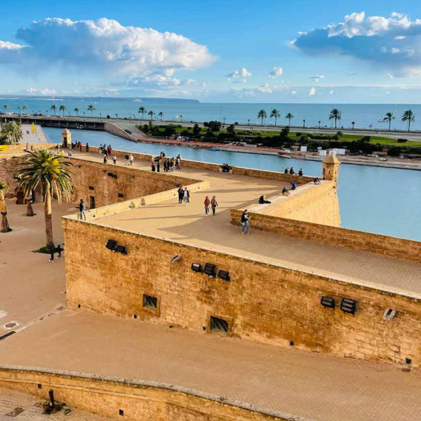 d5bfce69 0977 46ec 9f8f affa226dcf6f